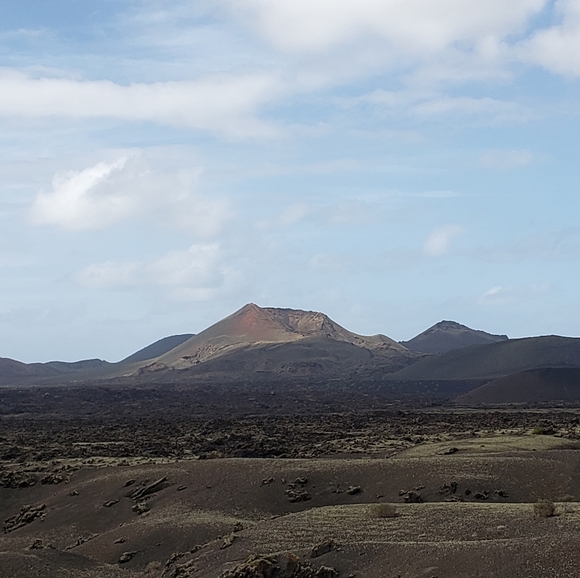 Meet your Posher, Candace - Picture 1 of 1